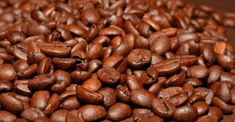Transformation Brew